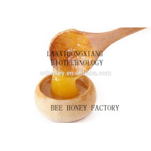 polyflora honey